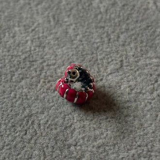 Charm/Dije Uruga rosita Plata .925