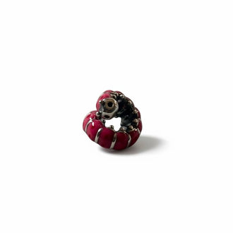 Charm/Dije Uruga rosita Plata .925