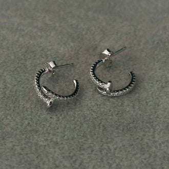 Arretes de clavo, Plata .925
